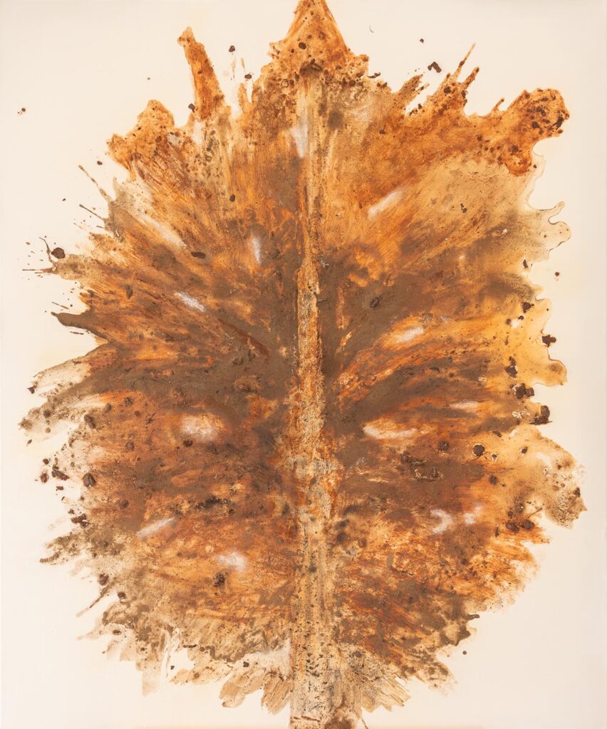 obra bio art 11